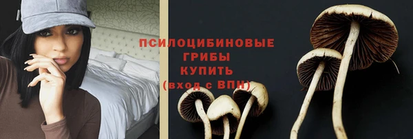 соль ск Верхнеуральск