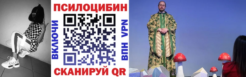 где купить наркотик  Камешково  MEGA ССЫЛКА  Псилоцибиновые грибы прущие грибы 